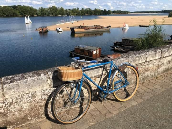 B&B Cote Loire Les Rosiers Exterior foto